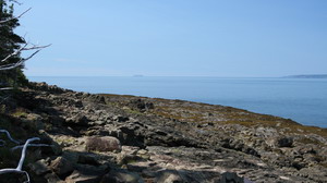 baxters_harbour_w1
